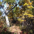 Sheltowee Trace &amp; Lakeview - 06